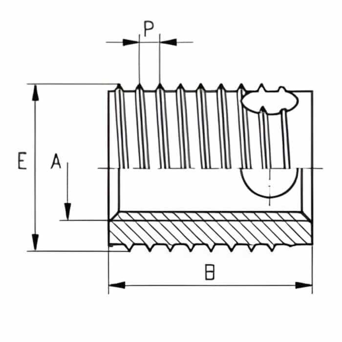 Ren Lắp Tự Khoét Ensat-SB Dài - Ảnh 2