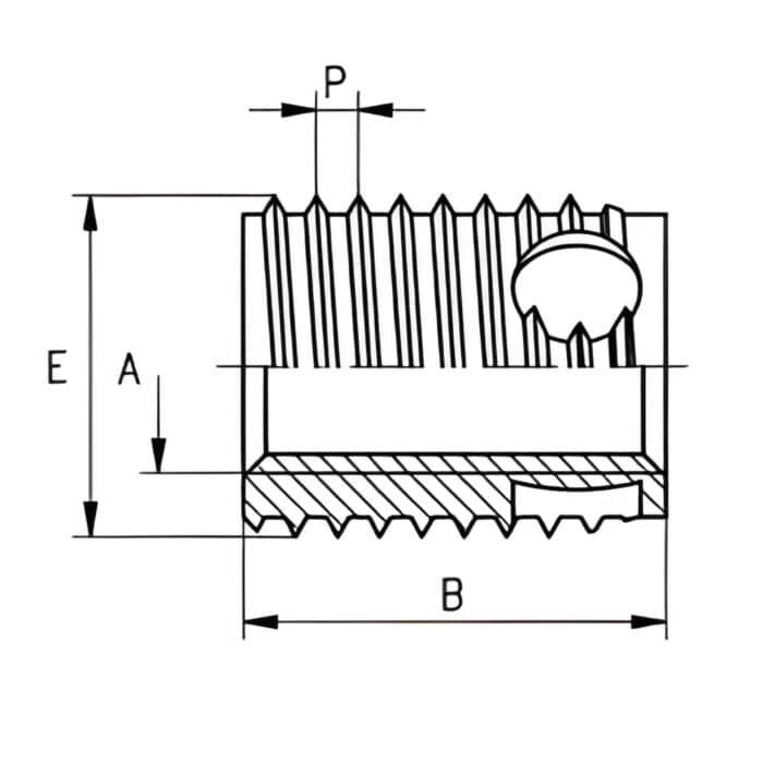 Ren Lắp Tự Khoét Kháng Axit Buồng Chứa Phoi Ensat-SBS Dài (Inox 1.4404) - Ảnh 2