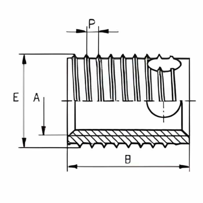 Ren Lắp Tự Khoét Ensat-SBD Dài (thành mỏng) - Ảnh 2