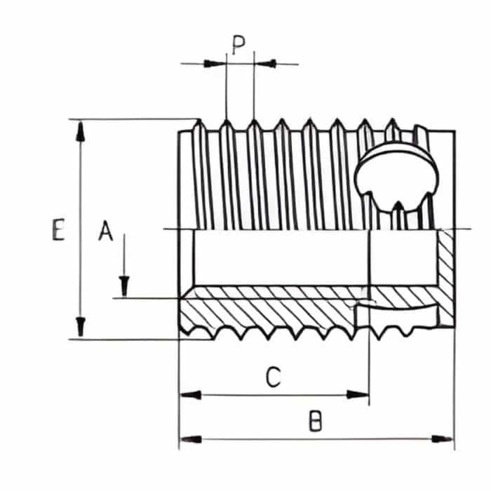 Ren Lắp Tự Khoét Ensat-SBT Dài (có đáy kín) - Ảnh 2